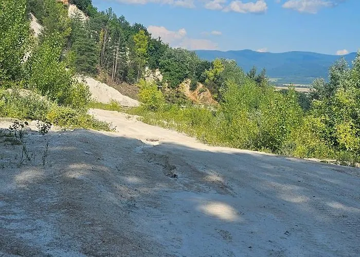 Jsjdjd * بريفيدزا